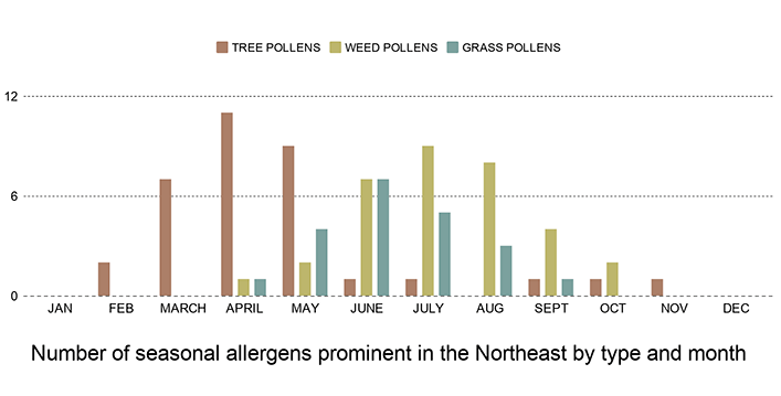 pollen allergens by seasons